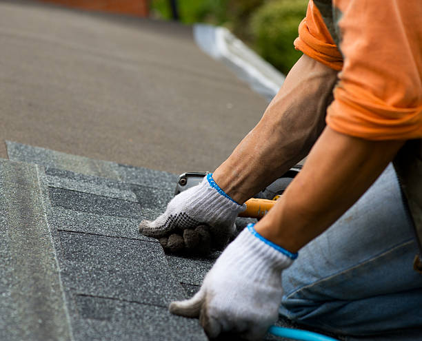 Best Roof Gutter Cleaning  in Highland Falls, NY